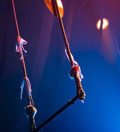 Aerialists : 5 Ways to Overcome Your Fear of Falling