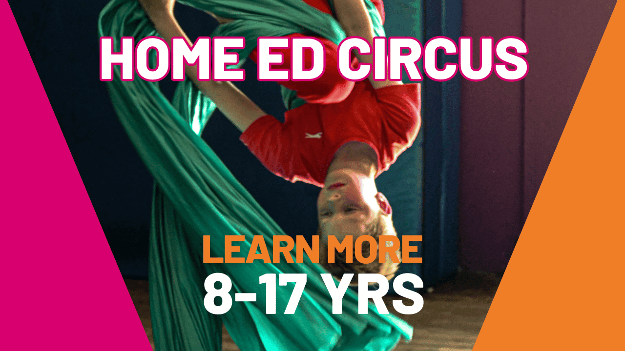 Home_ed Skate